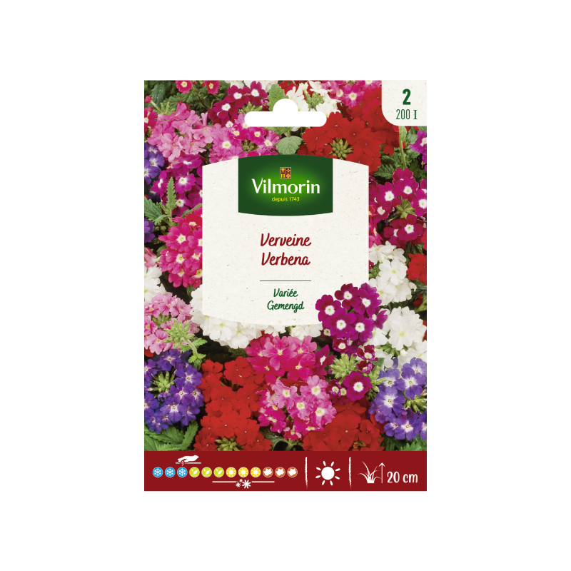 SEMILLAS VERBENA Variada Vilmorin - Sobre 1 g