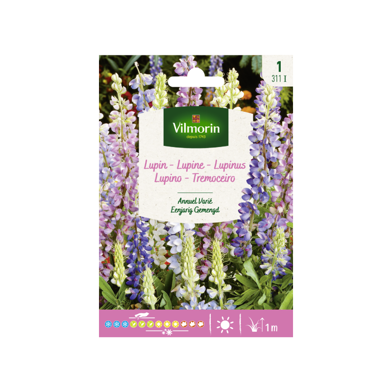 SEMILLAS LUPINUS Anual Variada Vilmorin - Sobre 2 g