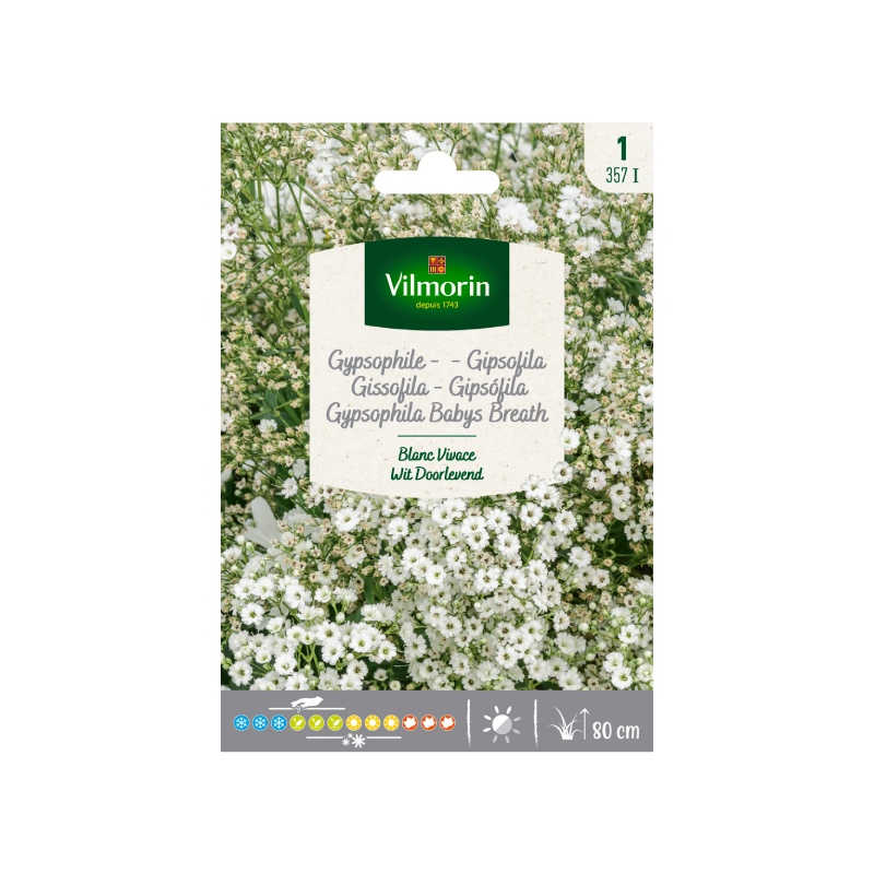 SEMILLAS GIPSOFILA Blanca Perenne Vilmorin - Sobre 1 g