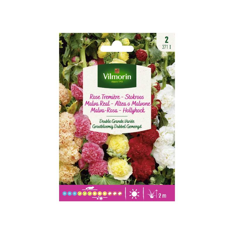 SEMILLAS MALVA REAL Doble Grande Variada Vilmorin - Sobre 1 g