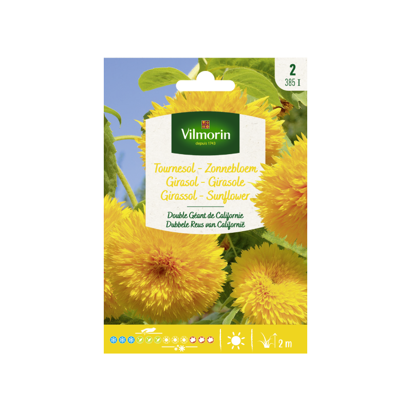 SEMILLAS GIRASOL Gigante Doble California Vilmorin - Sobre 1,5 g