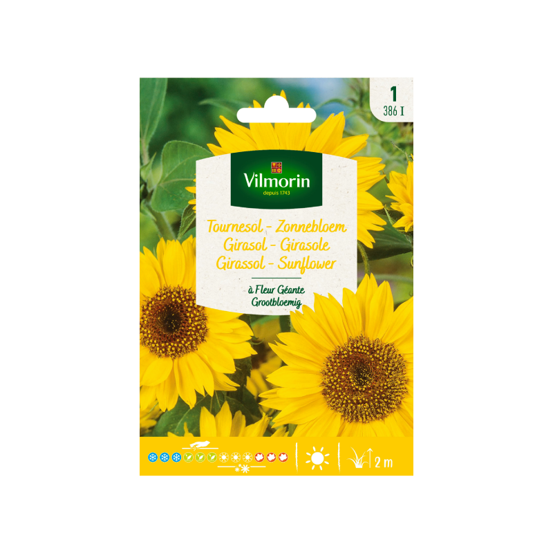 SEMILLAS GIRASOL Flores Gigantes Vilmorin - Sobre 1,5 g