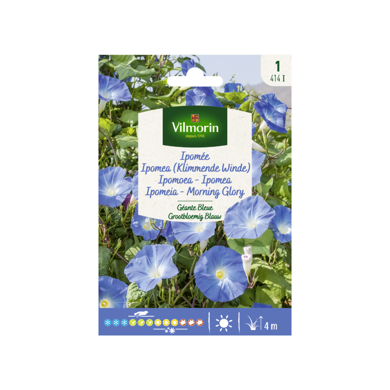 SEMILLAS IPOMOEA Gigante Azul Vilmorin - Sobre 3 g