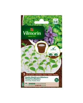 PACK 3 DISCOS SEMILLAS ALBAHACA Vilmorin – Ø 10 cm