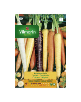 SEMILLAS ZANAHORIA Rainbow Mix Vilmorin – Sobre 0,6 g