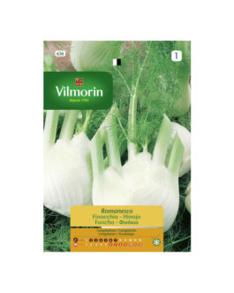 SEMILLAS HINOJO Romanesco Vilmorin – Sobre 5 g