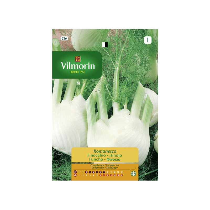 SEMILLAS HINOJO Romanesco Vilmorin - Sobre 5 g