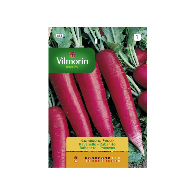 SEMILLAS RABANITO Candela de Fuego Vilmorin - Sobre 12 g