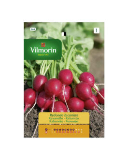 SEMILLAS RABANITO Redondo Escarlate Vilmorin – Sobre 12 g