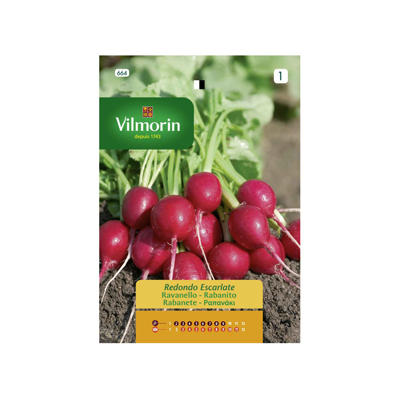 SEMILLAS RABANITO Redondo Escarlate Vilmorin - Sobre 12 g
