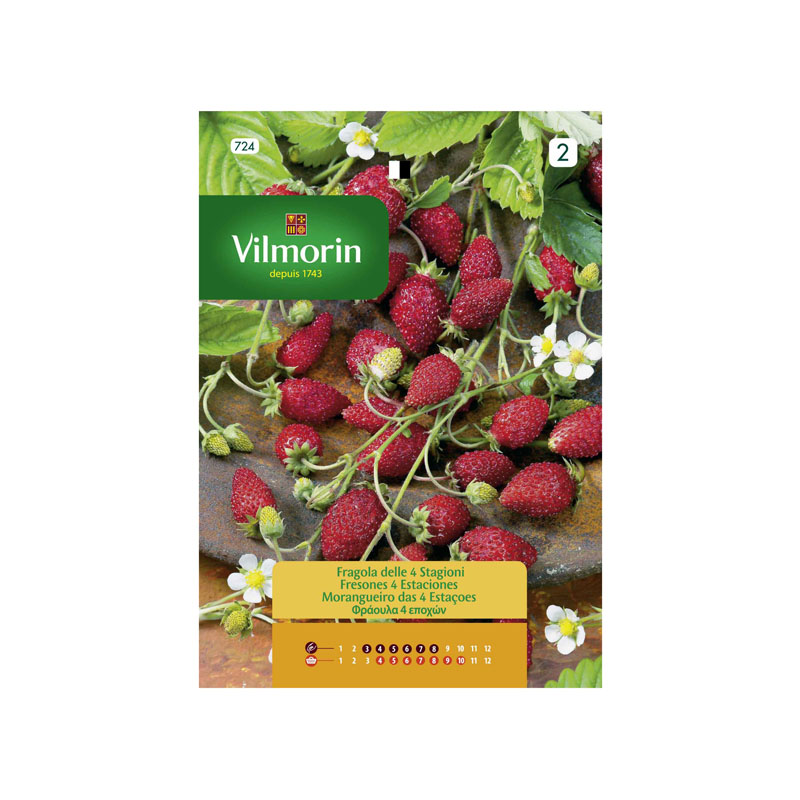 SEMILLAS FRESONES 4 Estaciones Vilmorin - Sobre 0,23 g