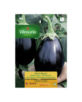 SEMILLAS BERENJENA Black Beauty Vilmorin – Sobre 3 g