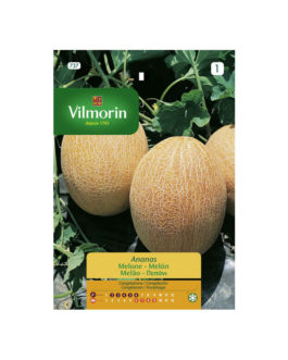 SEMILLAS MELÓN Ananas Vilmorin – Sobre 5 g