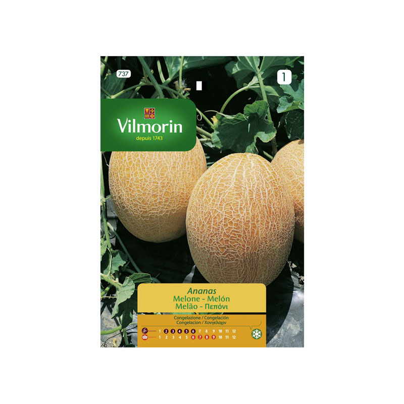 SEMILLAS MELÓN Ananas Vilmorin - Sobre 5 g