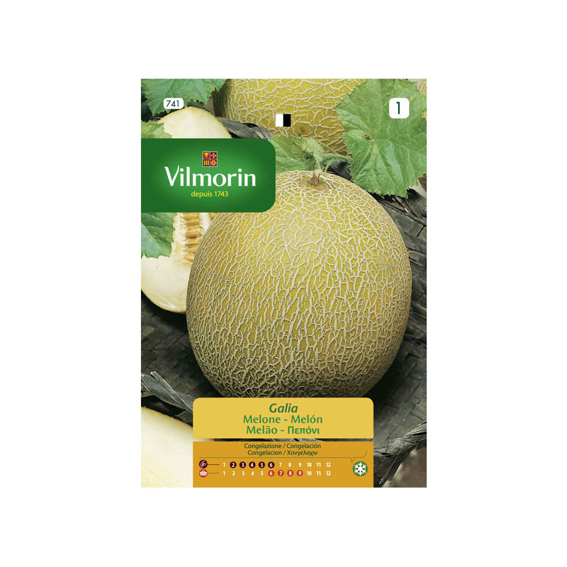 SEMILLAS MELÓN Galia Vilmorin - Sobre 0,5 g