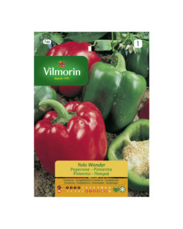 SEMILLAS PIMIENTO Yolo Wonder Vilmorin – Sobre 1,5 g