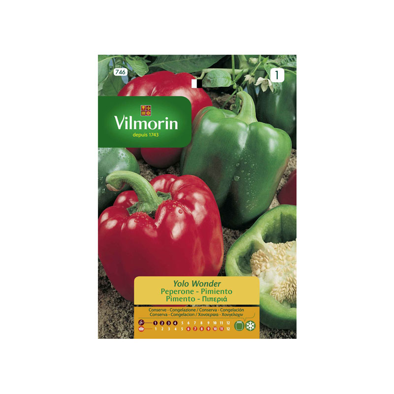 SEMILLAS PIMIENTO Yolo Wonder Vilmorin - Sobre 1,5 g