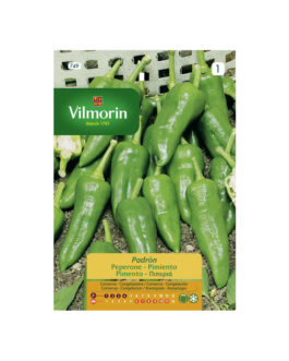 SEMILLAS PIMIENTO Padrón Vilmorin – Sobre 1 g