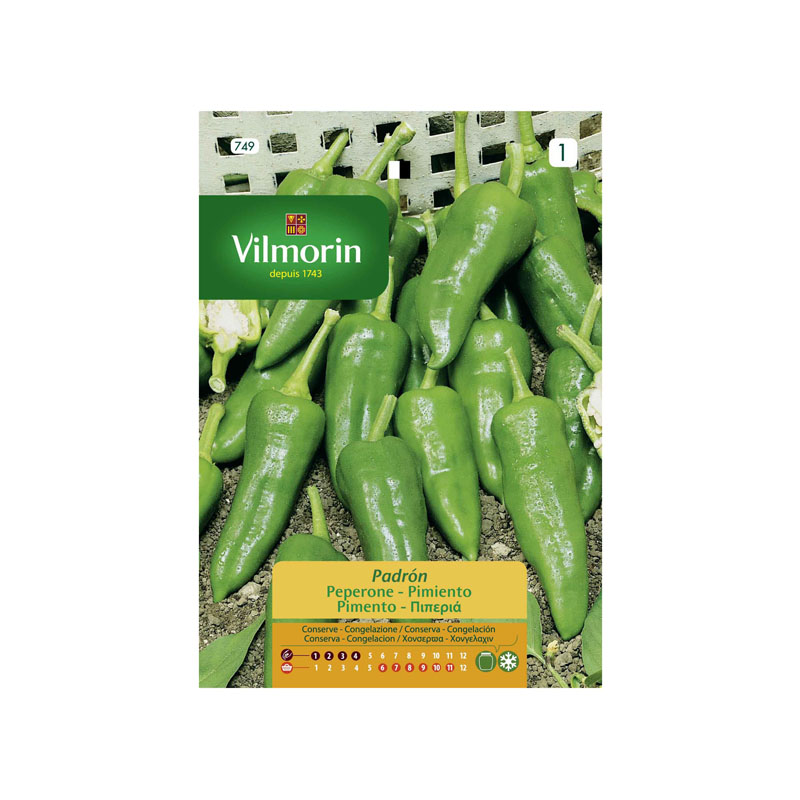 SEMILLAS PIMIENTO Padrón Vilmorin - Sobre 1 g