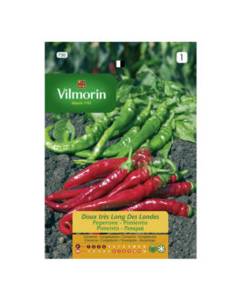 SEMILLAS PIMIENTO Dulce de las Landas Vilmorin – Sobre 2 g