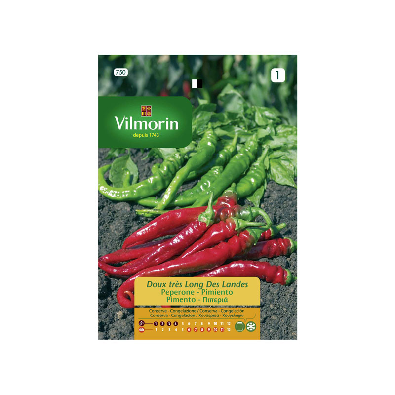 SEMILLAS PIMIENTO Dulce de las Landas Vilmorin - Sobre 2 g