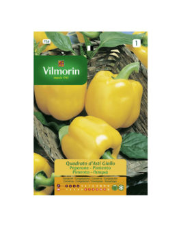 SEMILLAS PIMIENTO Cuadrato Amarillo Asti Vilmorin – Sobre 2 g