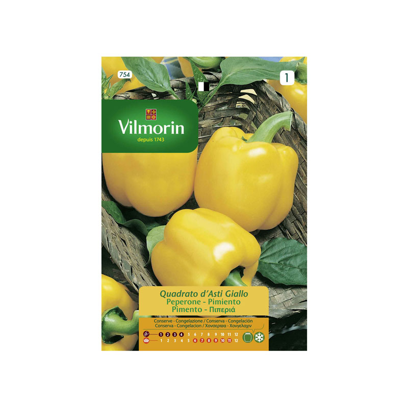 SEMILLAS PIMIENTO Cuadrato Amarillo Asti Vilmorin - Sobre 2 g
