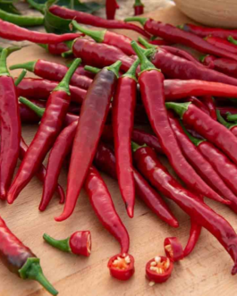 SEMILLAS PIMIENTO Piccante di Cayenna Vilmorin – Sobre 3 g