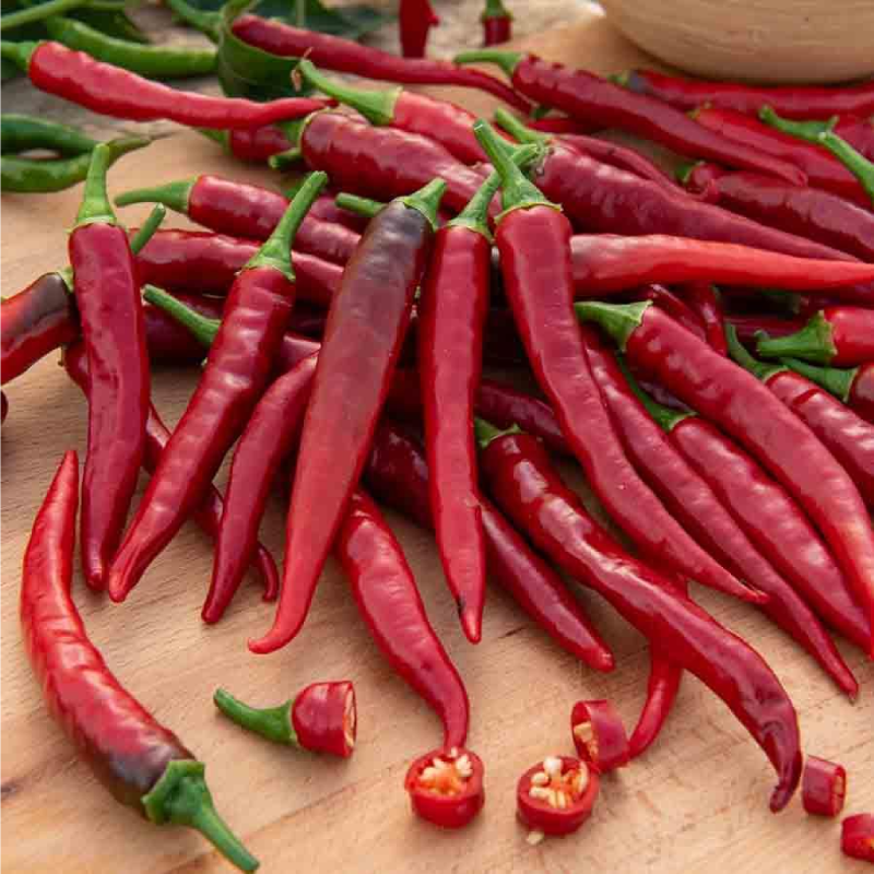 SEMILLAS PIMIENTO Piccante di Cayenna Vilmorin - Sobre 3 g - Imagen 2