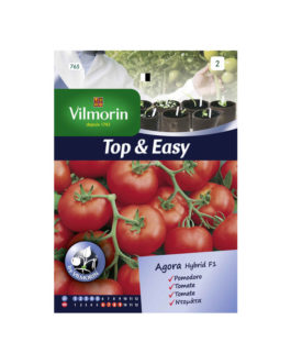 SEMILLAS TOMATE Agora Híbrido F1 Vilmorin – Sobre 0,1 g