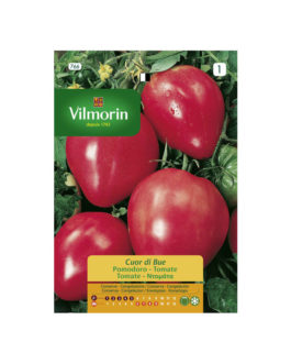 SEMILLAS TOMATE Corazón de Buey Vilmorin – Sobre 1 g