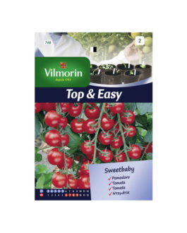 SEMILLAS TOMATE CEREZA Sweet Baby Vilmorin – Sobre 0,6 g