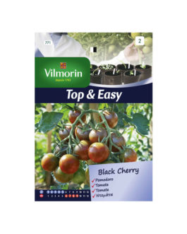 SEMILLAS TOMATE CEREZA Black Cherry Vilmorin – Sobre 0,1 g