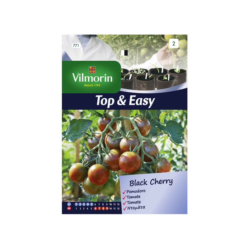 SEMILLAS TOMATE CEREZA Black Cherry Vilmorin - Sobre 0,1 g
