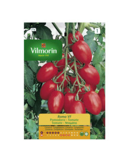 SEMILLAS TOMATE Roma V.F. Vilmorin – Sobre 5 g