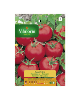SEMILLAS TOMATE San Pedro Vilmorin – Sobre 2 g