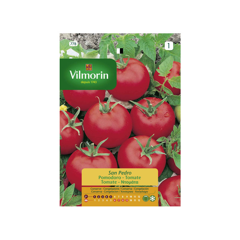 SEMILLAS TOMATE San Pedro Vilmorin - Sobre 2 g