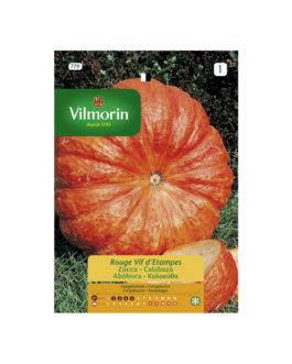 SEMILLAS CALABAZA Rojo Vivo Etampes Vilmorin – Sobre 7 g