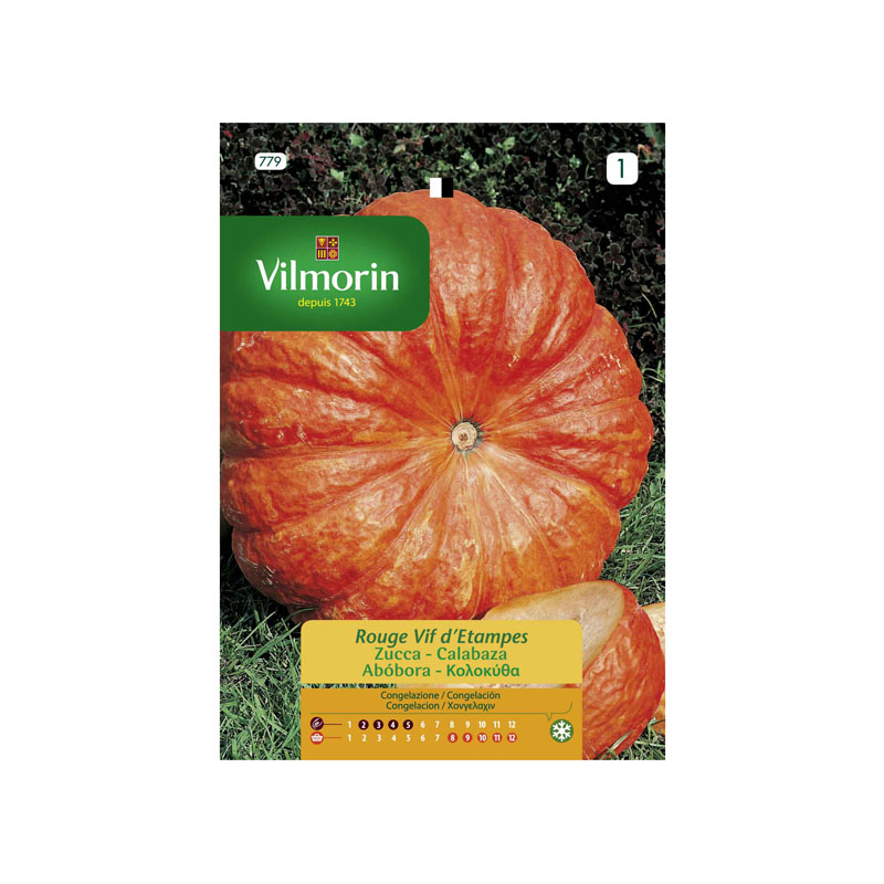 SEMILLAS CALABAZA Rojo Vivo Etampes Vilmorin - Sobre 7 g