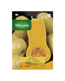 SEMILLAS CALABAZA Butternut Vilmorin – Sobre 7 g