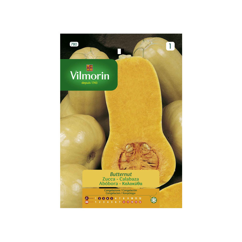 SEMILLAS CALABAZA Butternut Vilmorin - Sobre 7 g