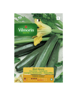SEMILLAS CALABACÍN Black Beauty Vilmorin – Sobre 7 g