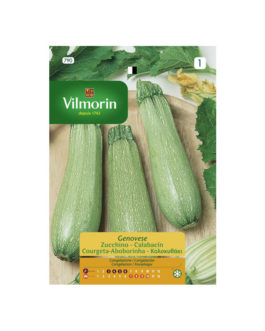 SEMILLAS CALABACÍN Genovese Vilmorin – Sobre 7 g