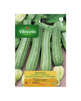 SEMILLAS CALABACÍN Romanesco Vilmorin – Sobre 7 g