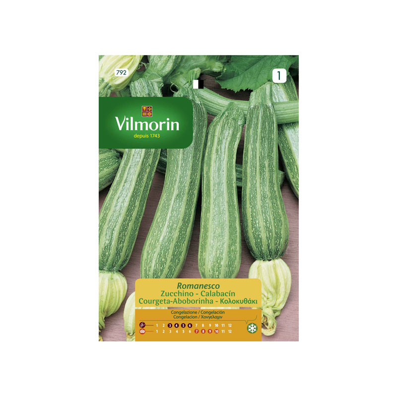 SEMILLAS CALABACÍN Romanesco Vilmorin - Sobre 7 g