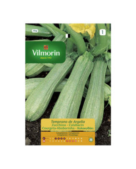SEMILLAS CALABACÍN Temprano de Argelia Vilmorin – Sobre 10 g