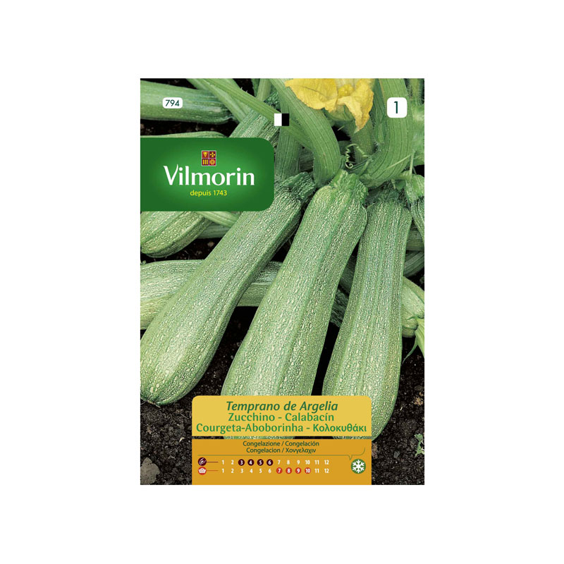 SEMILLAS CALABACÍN Temprano de Argelia Vilmorin - Sobre 10 g