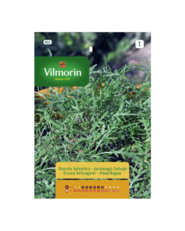 SEMILLAS JARAMAGO Salvaje Vilmorin – Sobre 0,6 g