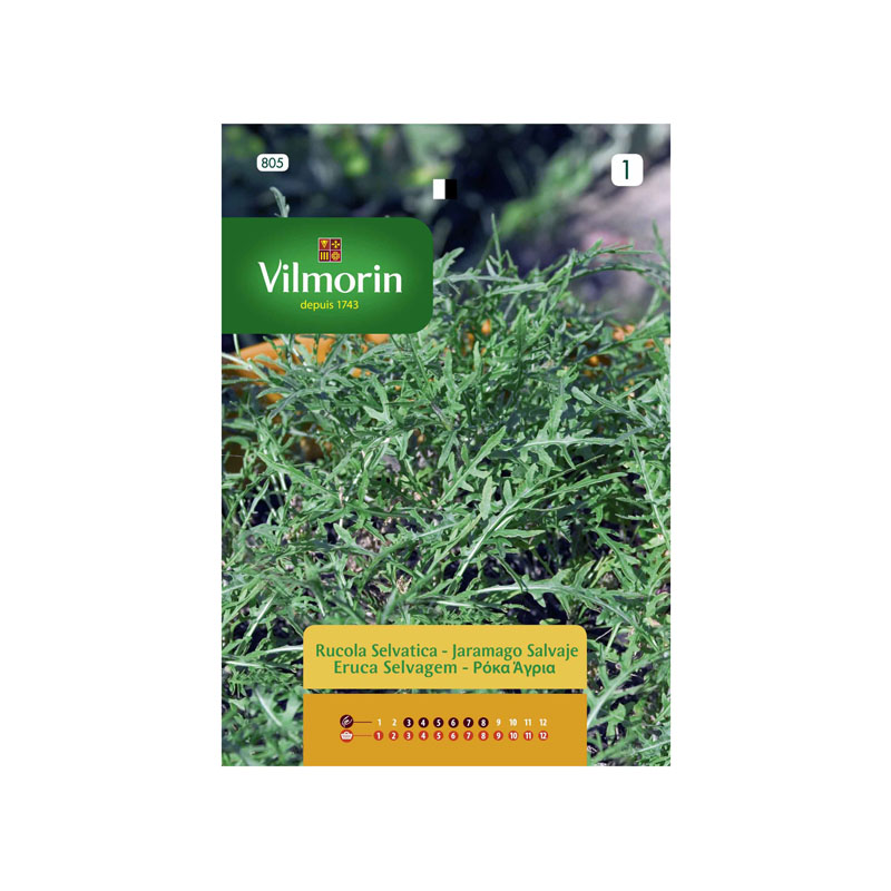 SEMILLAS JARAMAGO Salvaje Vilmorin - Sobre 0,6 g