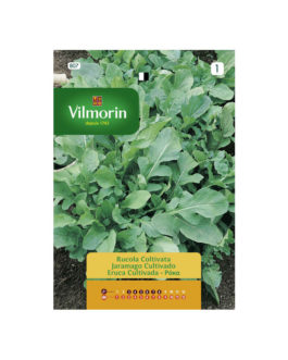 SEMILLAS JARAMAGO Cultivado Vilmorin – Sobre 10 g